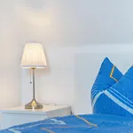 4 * Groß Zicker