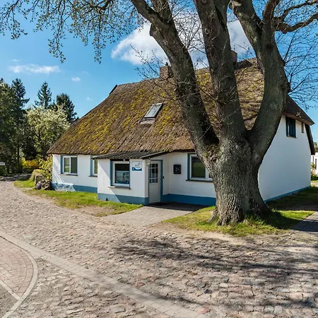 4 Apartment Groß Zicker