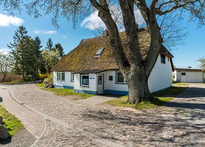 4 Lejlighed Groß Zicker